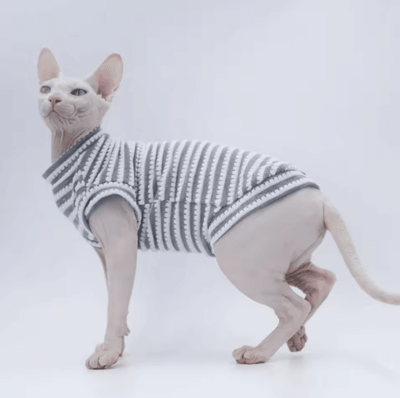Inspire Picks Breathable Summer Sphynx Cat Vest Striped Shirt For Sphynx & Devon Rex Cats gray xxl