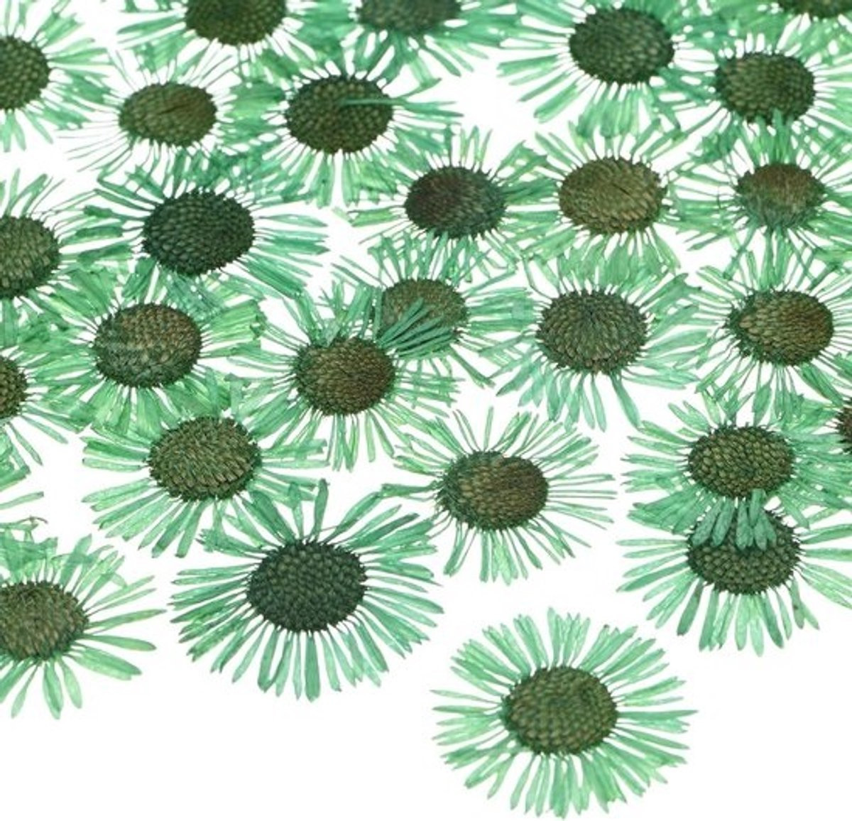 60 Stuks Gedroogde Geperste Bloemen voor Resin, Ambachten, Zeep en Scrapbooking