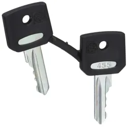 Schneider Electric ZBG455 Ersatzschlüssel f. Schlüsselschalter, 455, Verpackungseinheit: 2 Stck.