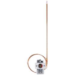 Jumo 60000214 2-Punkt-Regler Temperaturwächter 60 °C (max.) Relais 16 A