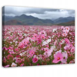 LEINWANDBILD Blumen Felder Rosa 120x80 cm