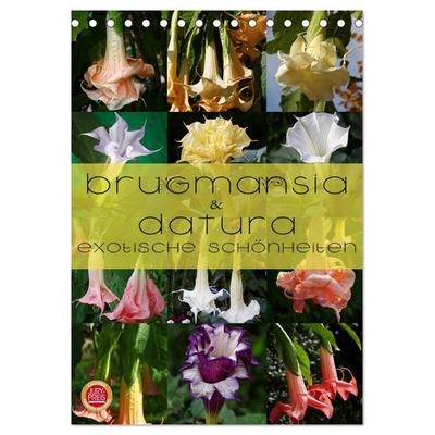 Brugmansia & Datura - Exotische Schönheiten (Tischkalender 2026 DIN A5 hoch), CALVENDO Monatskalender