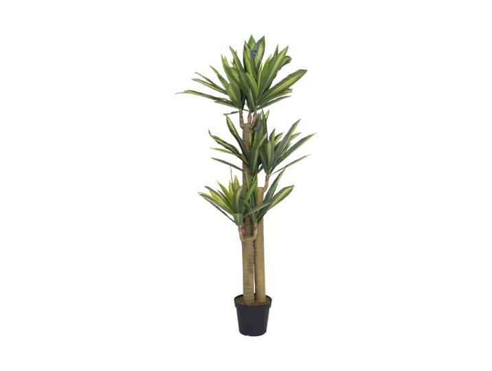 Lebensechte Kunstpflanze „Dracena“, verschiedene Grössen Grün Baq Design