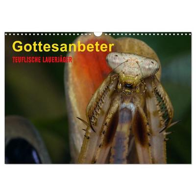 Gottesanbeter - Teuflische Lauerjäger (Wandkalender 2027 DIN A3 quer), CALVENDO Monatskalender
