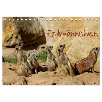 Erdmännchen (Tischkalender 2027 DIN A5 quer), CALVENDO Monatskalender