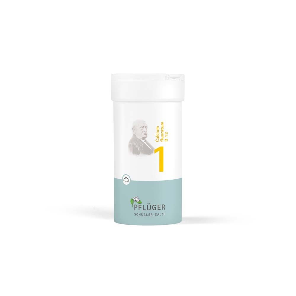 Biochemie Pflüger 1 Calcium fluoratum D 12 Pulver 100 g