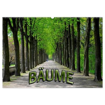 Bäume 2027 (Wandkalender 2027 DIN A2 quer), CALVENDO Monatskalender