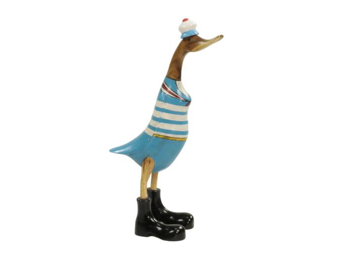 Canard marin