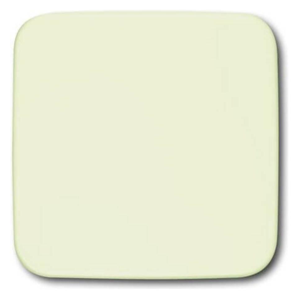 Busch-Jaeger Blindzentralscheibe Für Netzteil-Einsatz 2CKA001582A0360 (2CKA001582A0360)