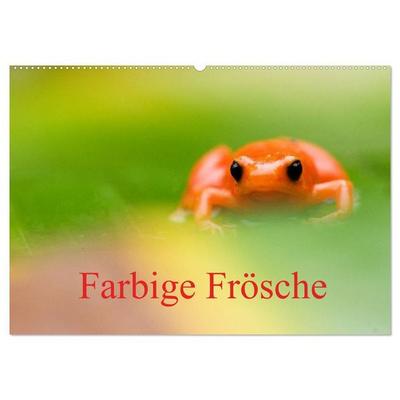 Farbige Frösche (Wandkalender 2027 DIN A2 quer), CALVENDO Monatskalender