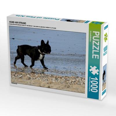 CALVENDO Puzzle HUND AM STRAND | 1000 Teile Lege-Größe 64x48cm Foto-Puzzle für glückliche Stunden