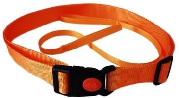 Shop Station Adjustable Swim Training Belt With Swim Tether For Stationary Pool Workouts orange