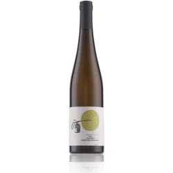 Weingut Hofmann Ölberg Riesling trocken 2016 12% Vol. 0,75l