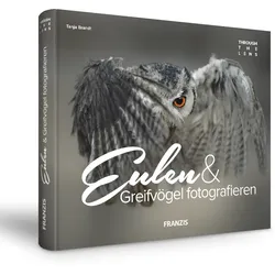 Eulen & Greifvögel fotografieren