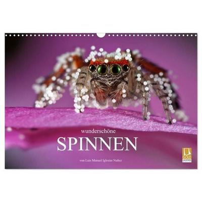 Wunderschöne Spinnen (Wandkalender 2027 DIN A3 quer), CALVENDO Monatskalender