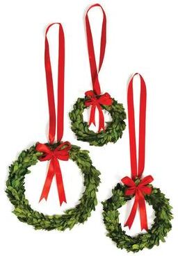 Porch & Petal Boxwood Wreaths With Red Ribbons, Set Of 3 - Green