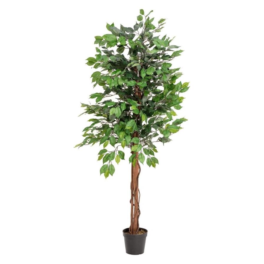 Europalms Ficus-Benjamini Multi-Stamm, Kunstpflanze, 150cm (150 cm) (82506125)