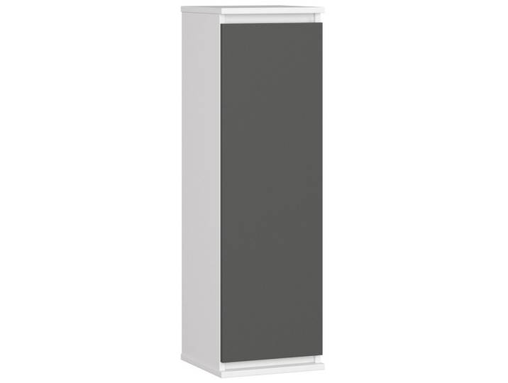 HÄNGESCHRANK Weiß, Graphit Grau 99/30/30