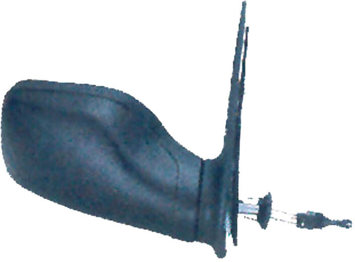 PRASCO PG0077113 Wing mirror