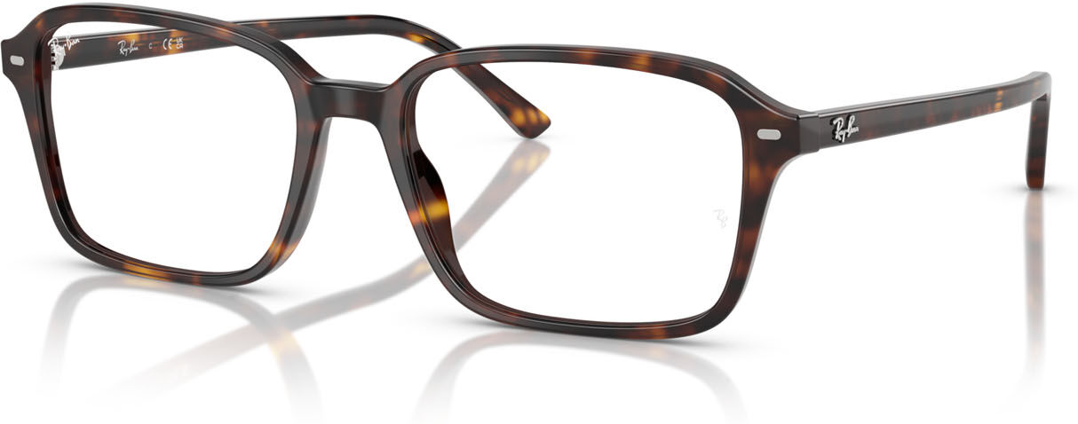 Ray-Ban RX 5431 (2012) - RB 5431 2012
