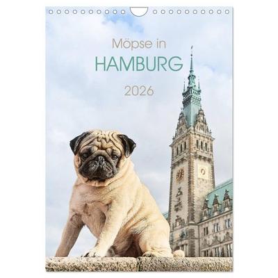 Möpse in Hamburg (Wandkalender 2026 DIN A4 hoch), CALVENDO Monatskalender