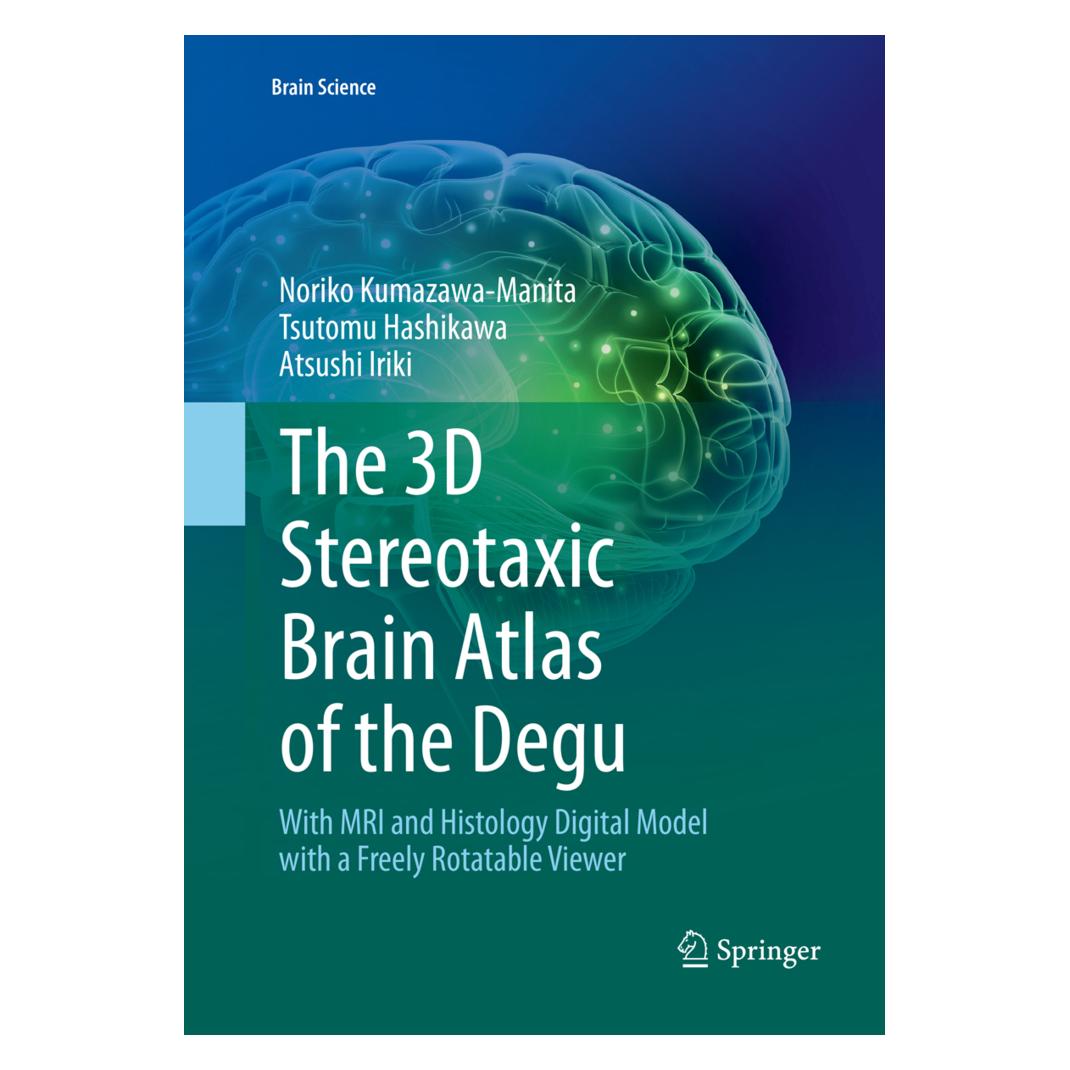 Springer The 3D Stereotaxic Brain Atlas of the Degu (Englisch, Softcover, Atsushi Iriki, Noriko Kumazawa-Manita, Tsutomu Hashikawa) (56108629)