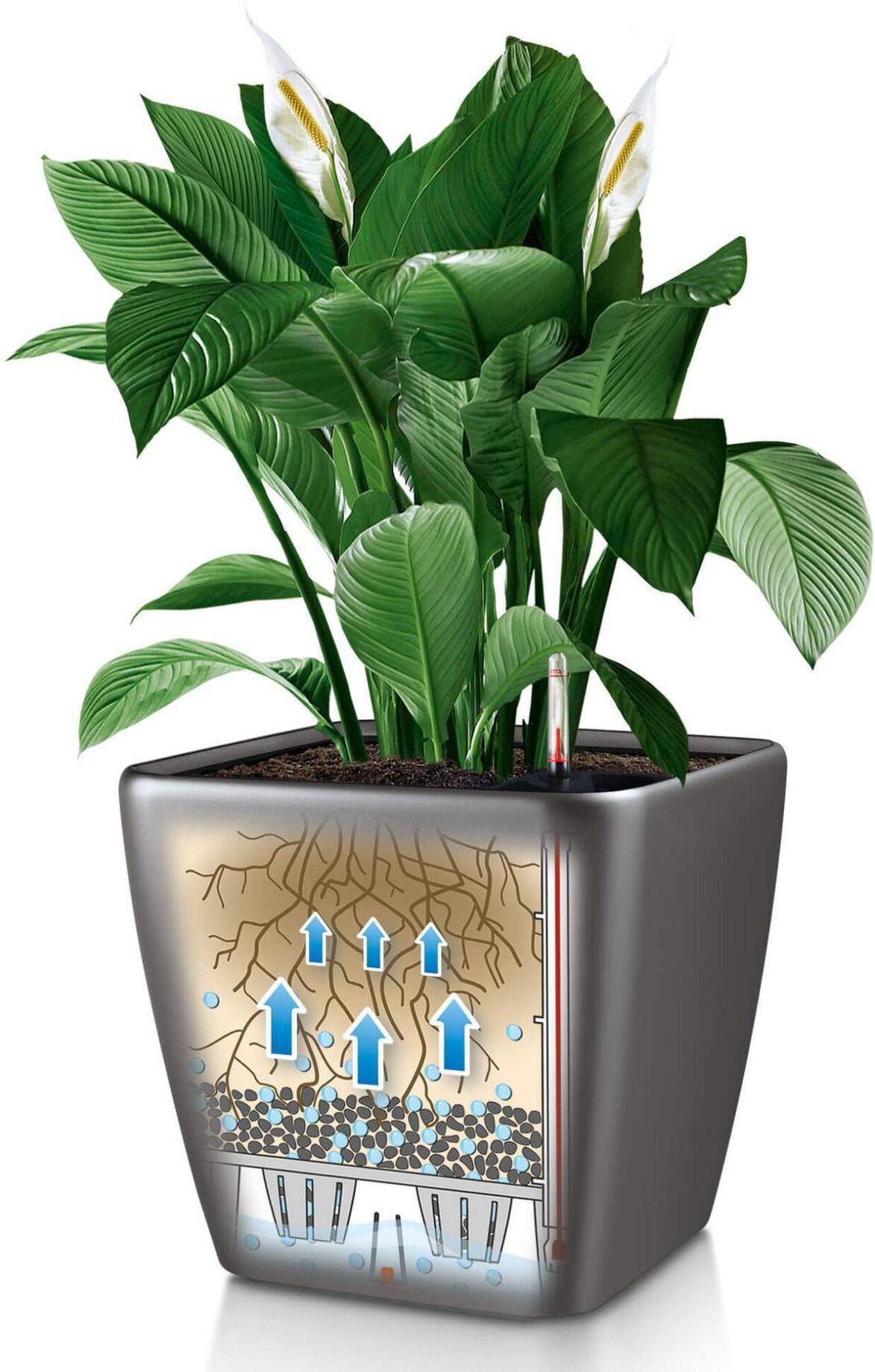 Blumentopf "Lechuza Pflanzentopf Quadro Premium", schwarz, B:22,5cm H:20,5cm T:22,5cm Ø:22,5cm, Pflanzgefässe, Blumentopf, Material: Polycarbonat, Polypropylen schwarz B/H/T: 22,5cm x 20,5cm x 22,5cm