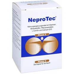 Neprotec Phase 2