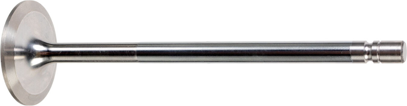Febi Bilstein Einlassventil 177184 Für Daf