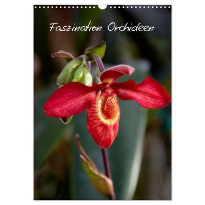 Faszination Orchideen (Wandkalender 2027 DIN A3 hoch), CALVENDO Monatskalender