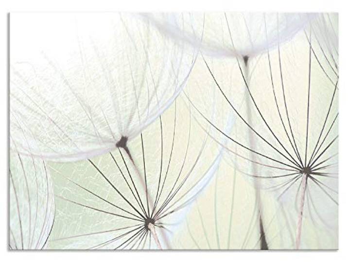 ARTland Spritzschutz Küchenrückwand aus Alu für Küche Herd Spüle 90x65 cm (BxH) mit Motiv Blume Pusteblume Landschaft Natur Zen Modern Hell Grün S9MV
