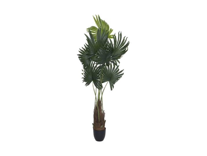 Lebensechte Kunstpflanze „Palm Tree Tuft“, verschiedene Grössen Grün Baq Design