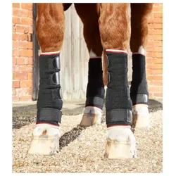 Premier Equine, Pferdebeinschutz, (XL)