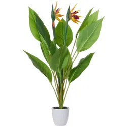 Strelitzia getopft   ¦ grün ¦ Kunststoff ¦ Maße (cm): H: 80