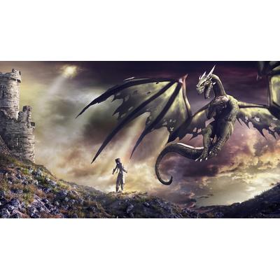 Fototapete PAPERMOON "Drachenphantasie", bunt, B:2,5m L:1,86m, Vlies, Tapeten