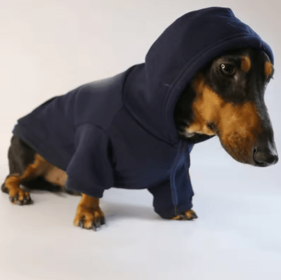 Inspire Curations Sausage Pup Cozy Hoodie For Small Dogs dark Blue xs