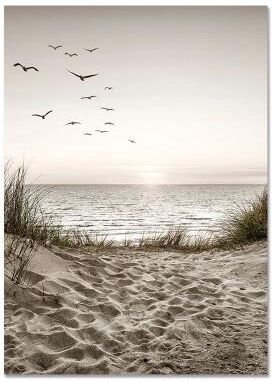 Inspired Living Nordic Coastal Canvas Wall Art Set Minimalist Beach Flower Prints For Modern Home Decor 40x50cm 5