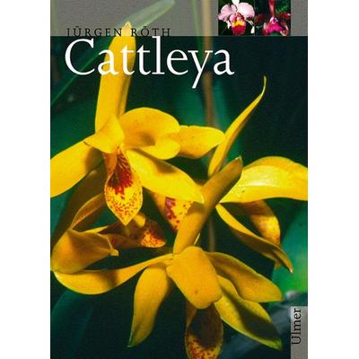 Cattleya, Gebundene Ausgabe von Jürgen Röth,Bärbel Röth, Verlag Eugen Ulmer, 978-3-8001-3153-2