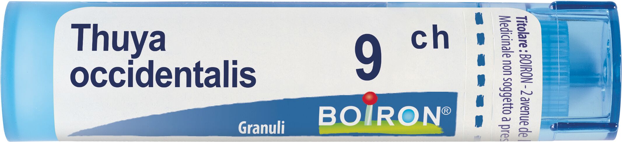 Thuya Occidentalis 9ch Granuli Multidose Boiron