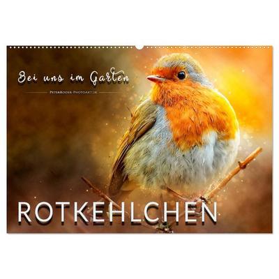 Bei uns im Garten - Rotkehlchen (Wandkalender 2026 DIN A2 quer), CALVENDO Monatskalender
