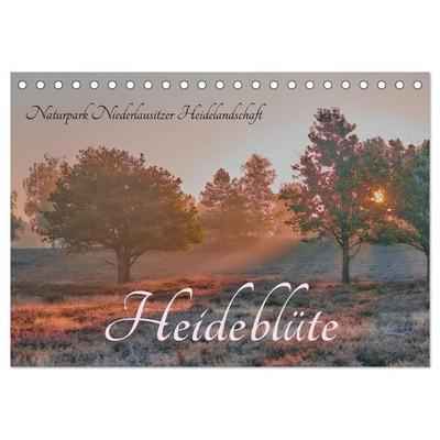 Naturpark Niederlausitzer Heidelandschaft - Heideblüte (Tischkalender 2026 DIN A5 quer), CALVENDO Monatskalender