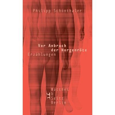 Vor Anbruch der Morgenröte, Gebundene Ausgabe von Philipp Schönthaler, Matthes & Seitz, 978-3-95757-404-6