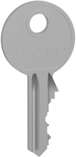 Schneider Electric LVS07956 PrismaSeT-P, Zylinderschloss, mit 2 Schlüssel Nr.2432E Zylinderschloss 1St.