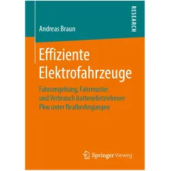 Effiziente Elektrofahrzeuge, Fachbücher von Andreas Braun