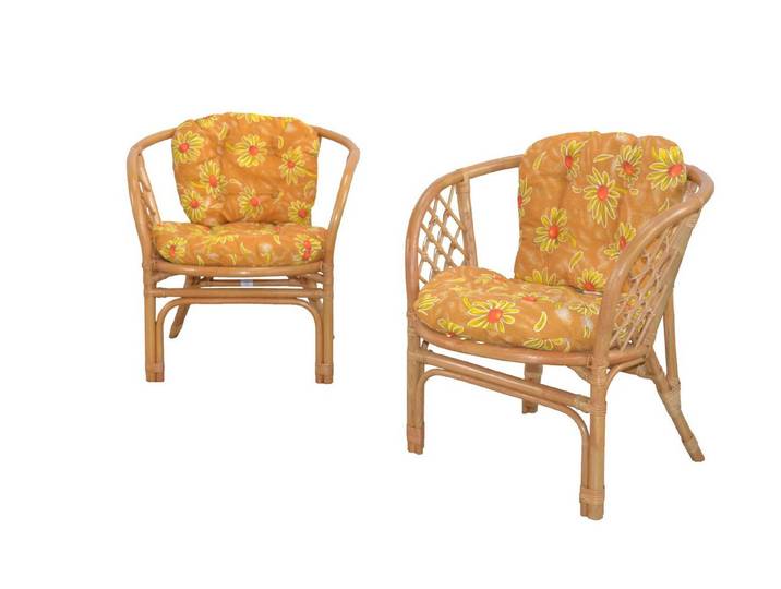 moebel-direkt-online Sessel Harald (2tlg. Spar-Set, 2 Sessel mit Kissen)