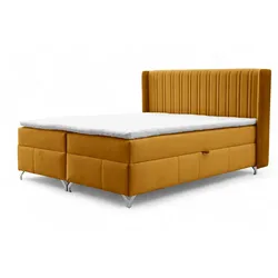 BOXBETT Damien
