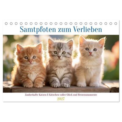 Samtpfoten zum Verlieben (Tischkalender 2027 DIN A5 quer), CALVENDO Monatskalender