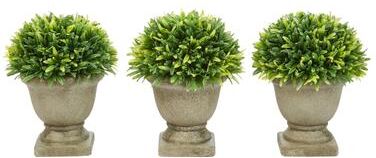 Pure Set of 3 Artificial Podocarpus Grass Plant in Concrete Pot- Round - Set of 3