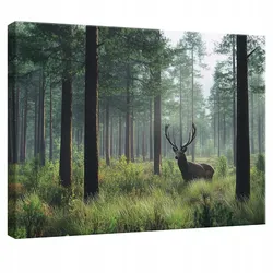 WANDBILD Hirsch Wald Natur Modern 120x80