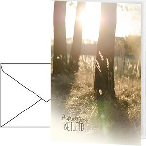 Böttcher-AG Trauerkarten 81sk3776, 115 x 170mm, Klappkarte mit Umschlag